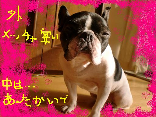 b陽だまり 002.jpg