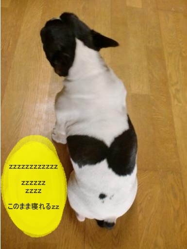 b陽だまり 003.jpg