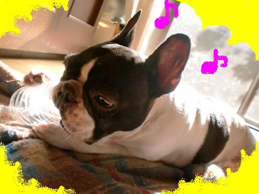 ａ初仕事 003.jpg