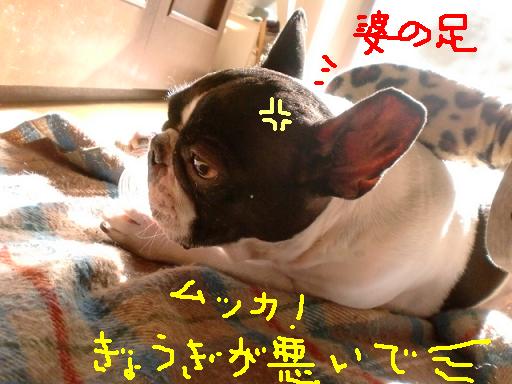 ａ初仕事 004.jpg