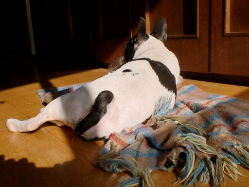 ａ初仕事 001.jpg