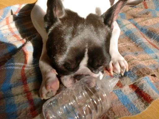 ａ初仕事 005.jpg