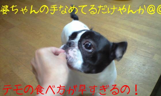 2009-12-17 13:07:53