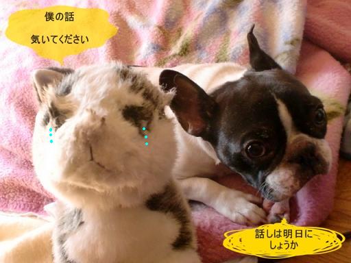 a元通りにして 011.jpg