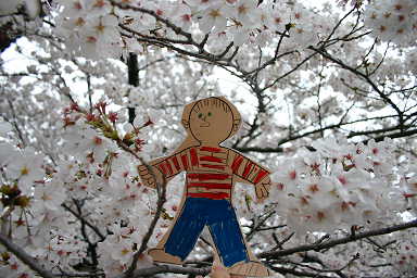 sakura with Don.jpg