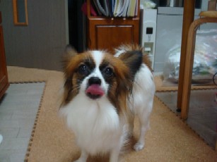 DSC01081.JPG