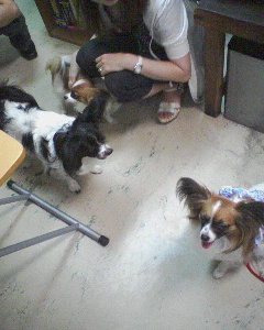 PA0_0500.JPG