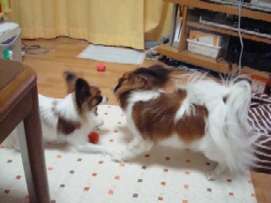 DSC00702.JPG