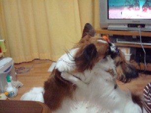 DSC00711.JPG