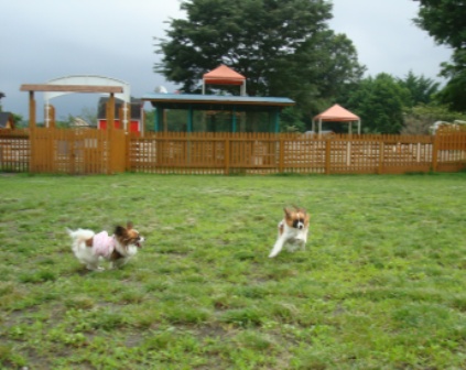 DSC02499.JPG