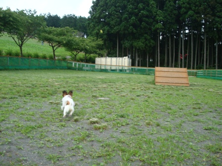 DSC02526.JPG