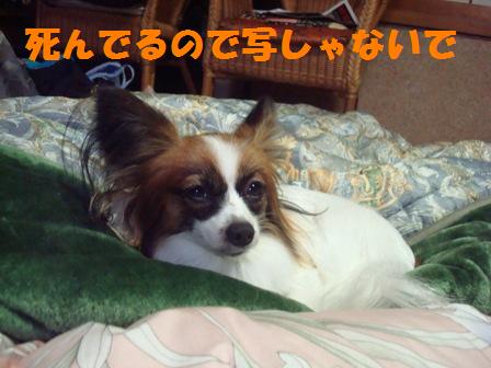 DSC03157.JPG