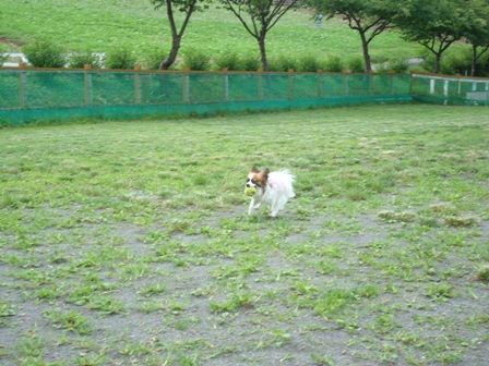 DSC02536.JPG