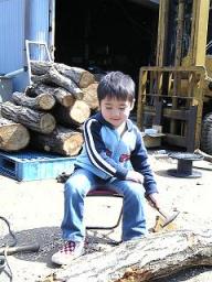 椎茸の菌の打ち込み