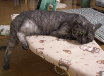 こんなかんじ