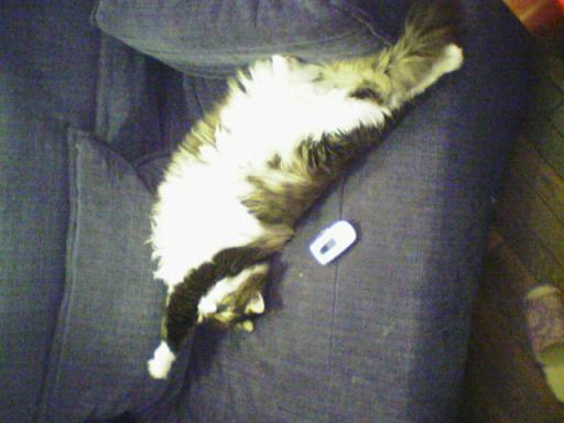 ムサソファー伸び