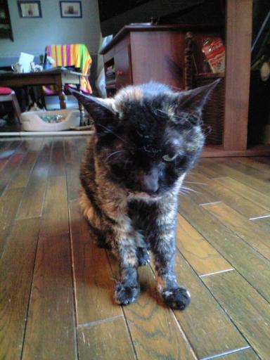 マーブルその後１