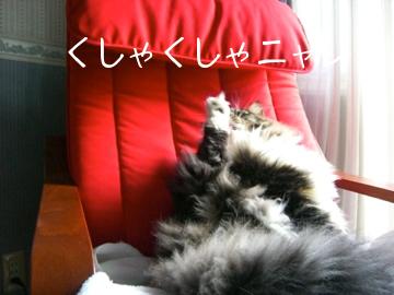 ムサシ足あげ２