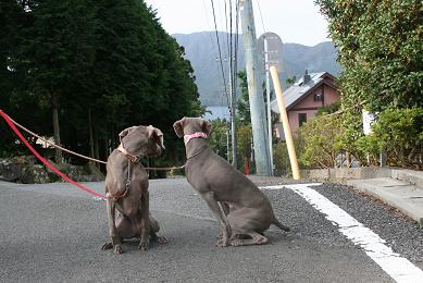 居心地の良いペンションでした。