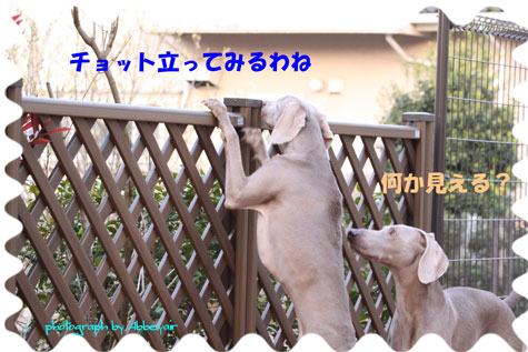 仕事が変わって出勤時間が遅くなっても起床は変わらない。