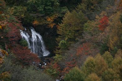 もっと紅葉が進んだらきっときれいですね