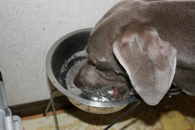 足りないから水で我慢しとこ。