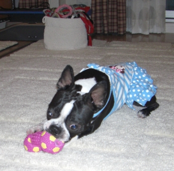 おもちゃと水色