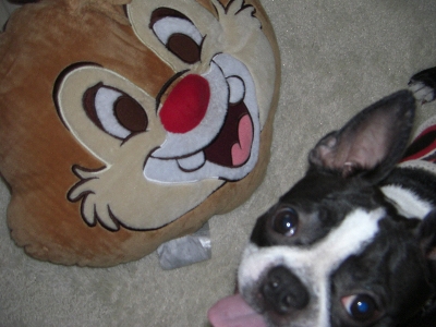 チップ＆デール