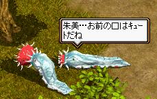 朱美・・・ｷｭｰﾄ？