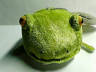 ケローネＪｒ正面