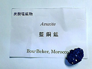 石展プレゼント