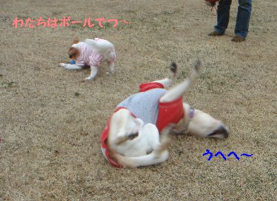 ごろん.jpg
