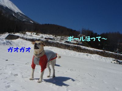 青い空.jpg