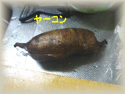 ヤーコン.jpg