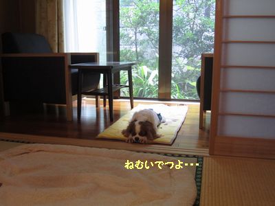 部屋で.jpg