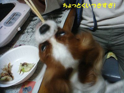 ななちゃん２.jpg
