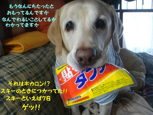 ゲッ.jpg