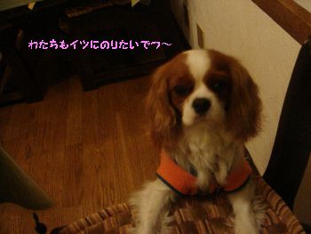 のりたい.jpg