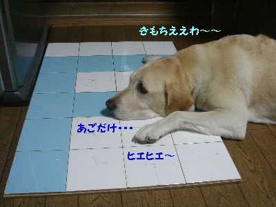 ひえひえ.jpg