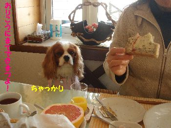 椅子の上.jpg