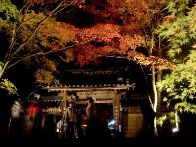 永源寺.jpg