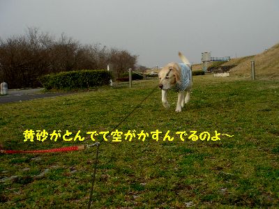 黄砂.jpg