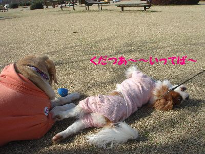 おねだり２.jpg