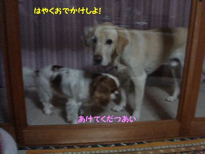 ぴとなな.jpg