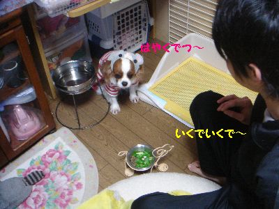 はやく.jpg
