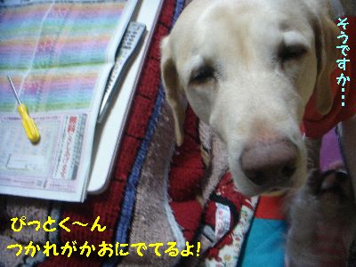 おつかれ.jpg