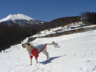 好天気.jpg