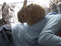 遊ぼうよったら