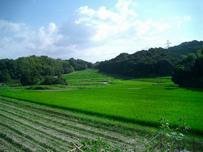 帰り道.jpg