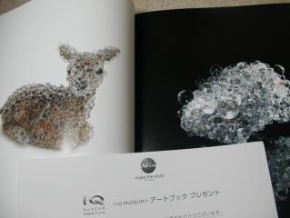 DSCN1304.JPG